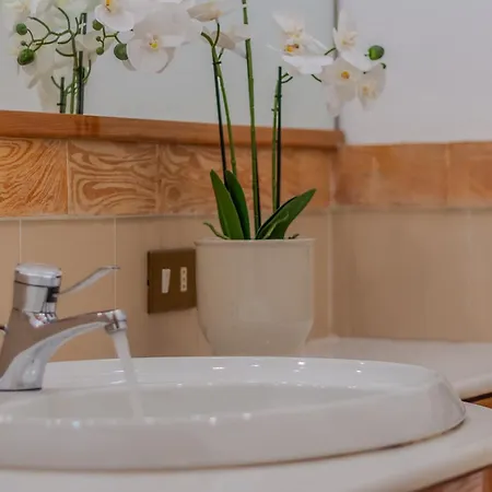 Apartamento Miranda's