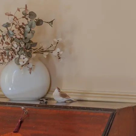 Apartament Miranda's