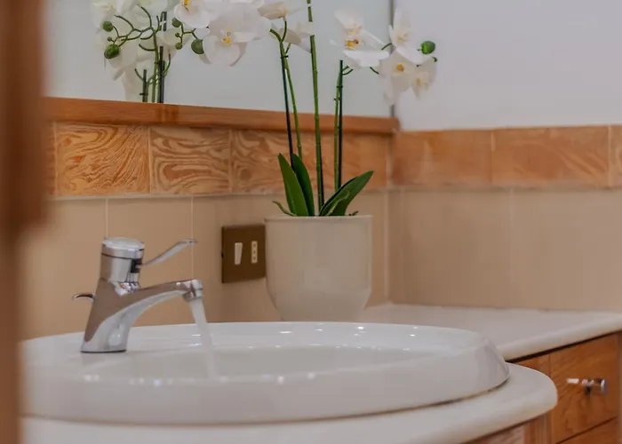 Apartament Miranda's