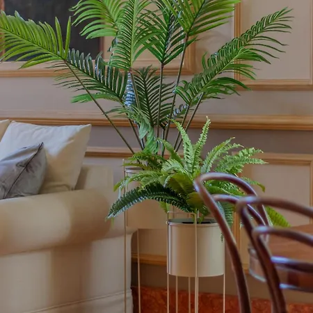 Miranda's * 瓦伦纳